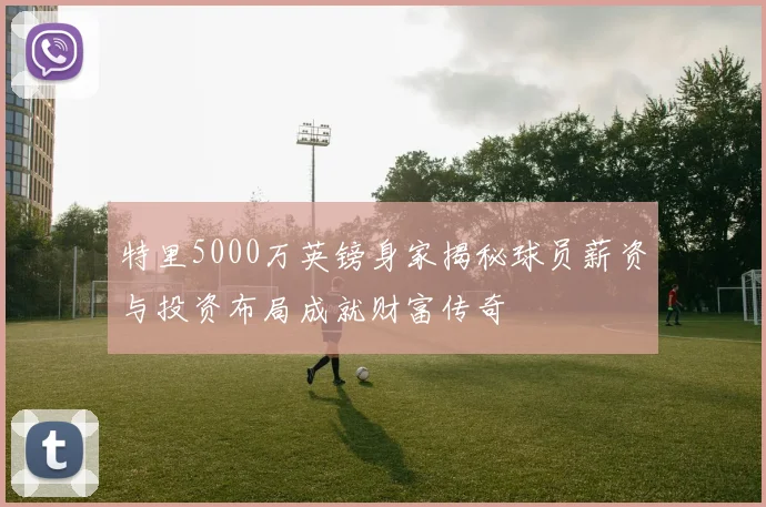 特里5000万英镑身家揭秘球员薪资与投资布局成就财富传奇