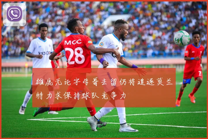 雄鹿无论字母哥去留仍将追逐莫兰特力求保持球队竞争力