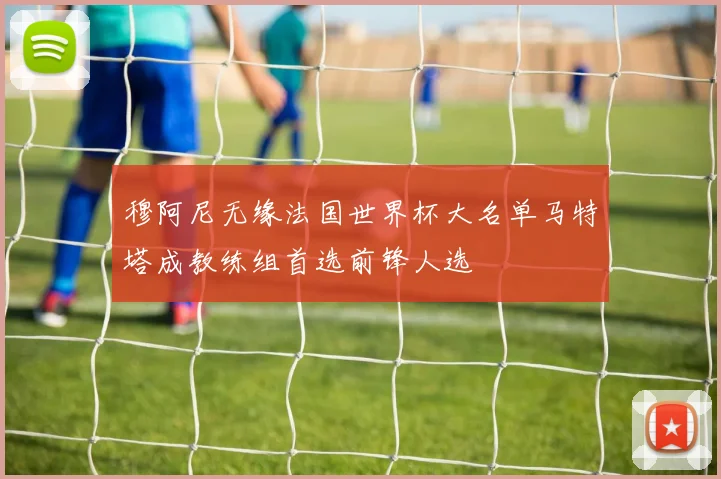 穆阿尼无缘法国世界杯大名单马特塔成教练组首选前锋人选